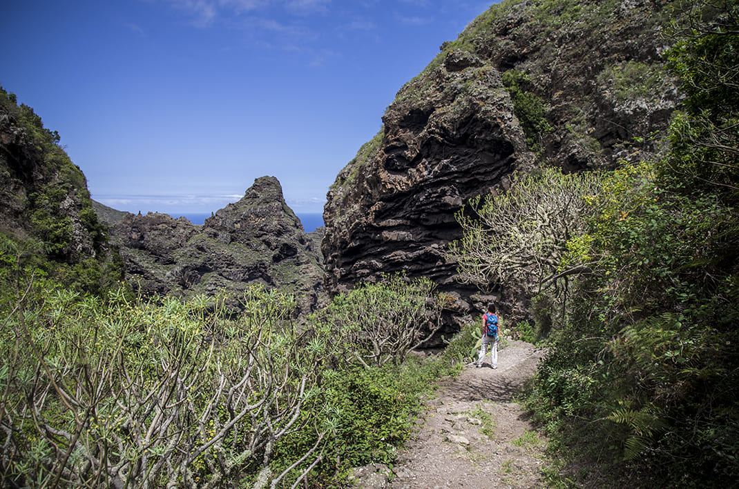 Cuevas Negras