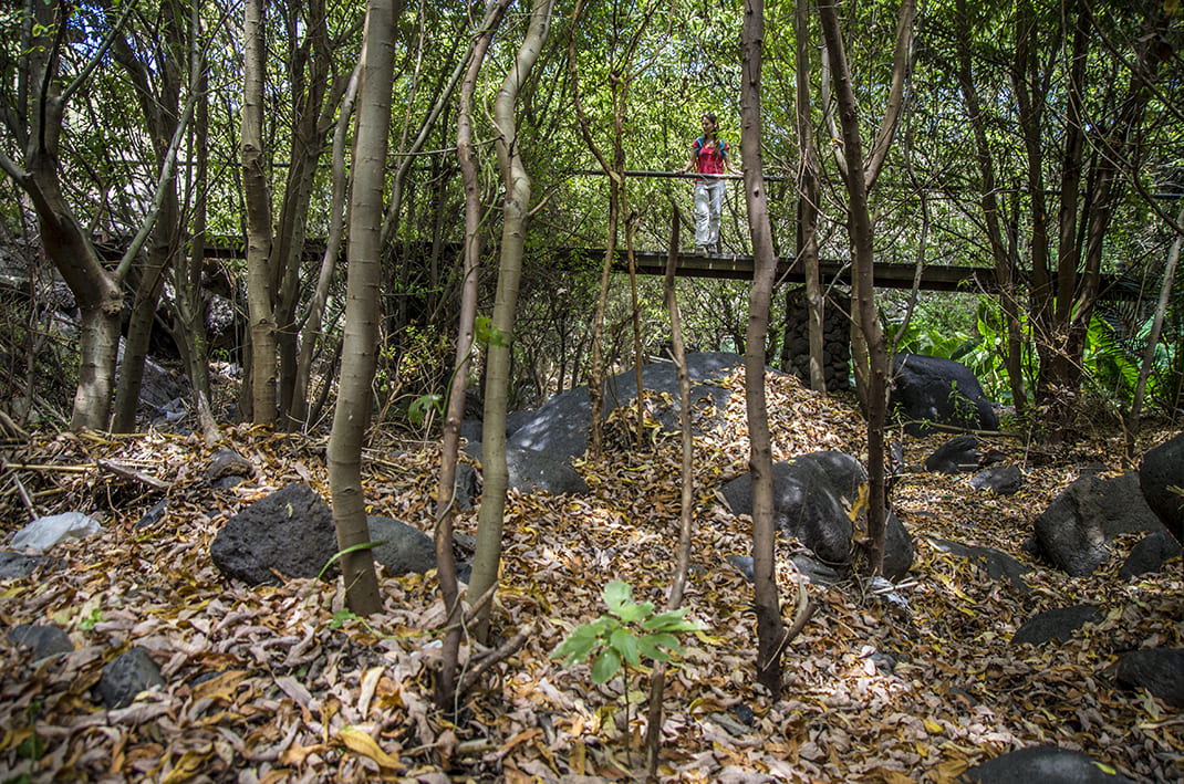 Cuevas Negras