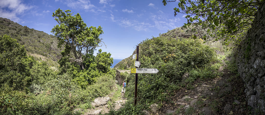 Cuevas Negras