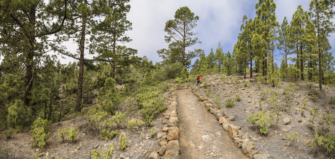 Camino de La Corredera