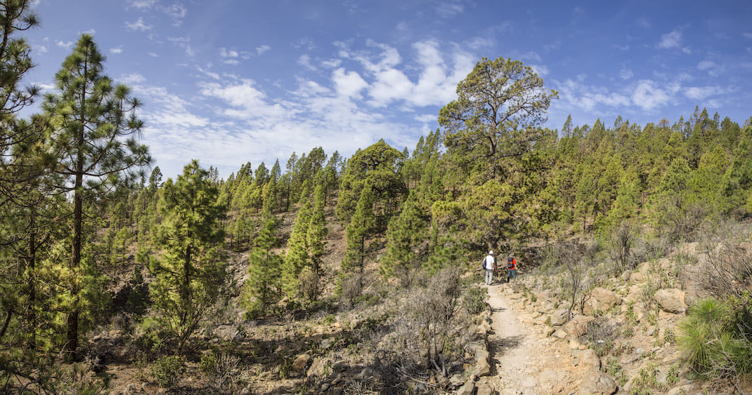 Camino de La Corredera