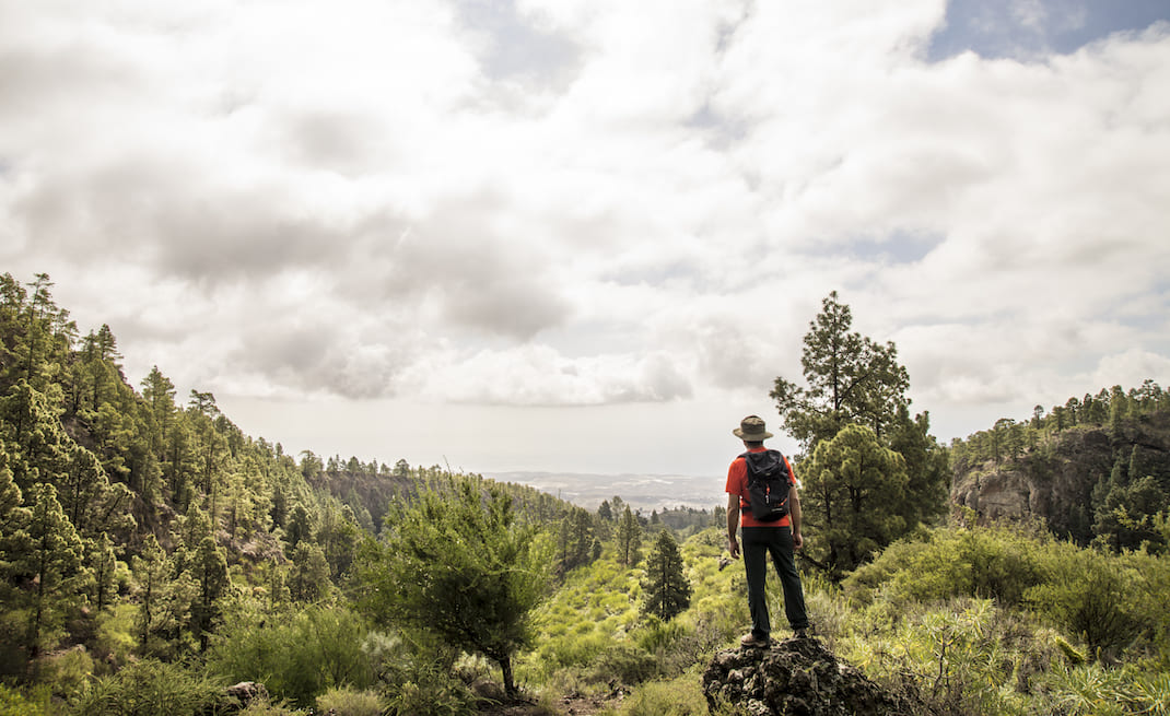 Camino de La Corredera