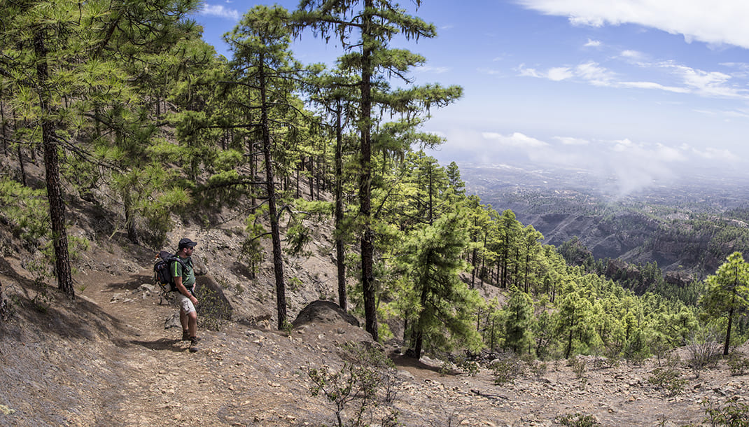 Arico Nuevo - Área recreativa El Contador