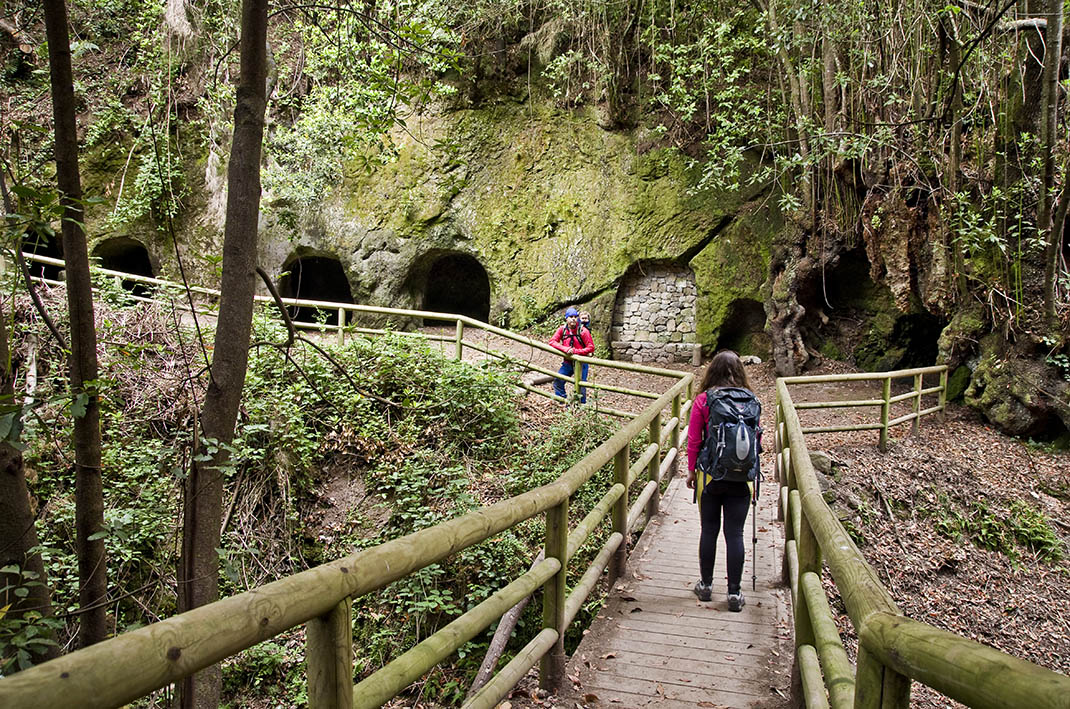 SIA GTE 01 Sendero interpretado Viñátigos Centenarios