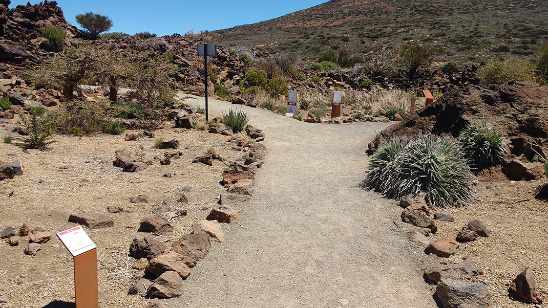 Sendero accesible Jardín Botánico Lineal