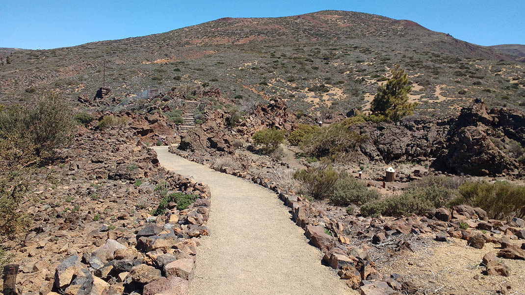 Sendero accesible Jardín Botánico Circular