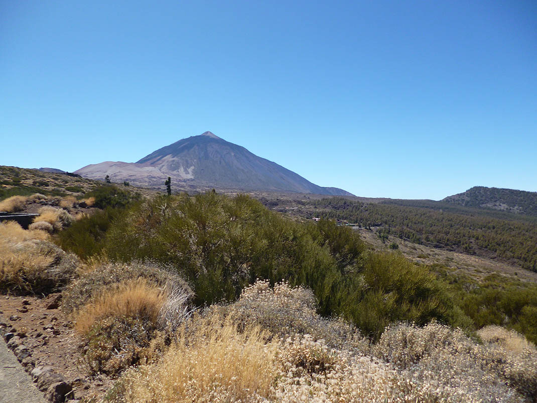 Sendero accesible Alto de Guamaso