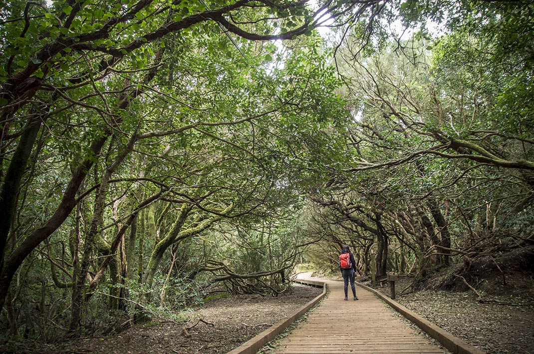 Sendero de los Sentidos 2