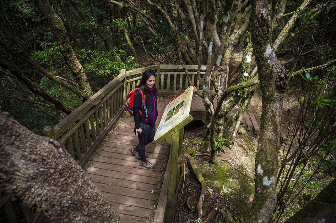 Sendero de los Sentidos 3