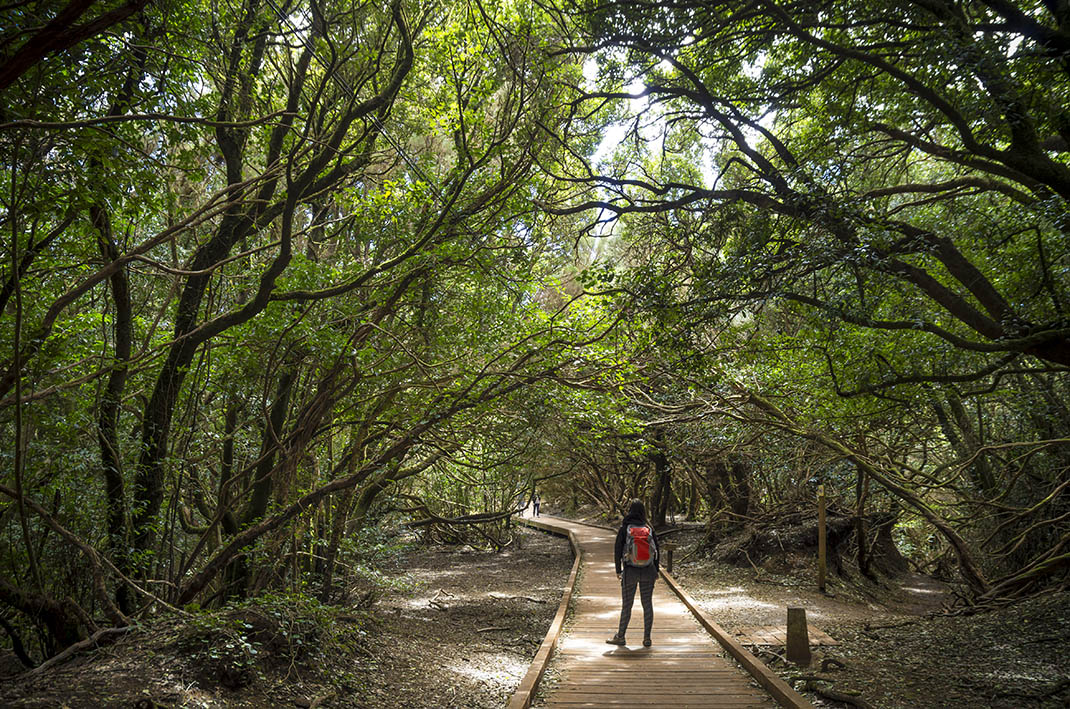 Sendero de los Sentidos 1