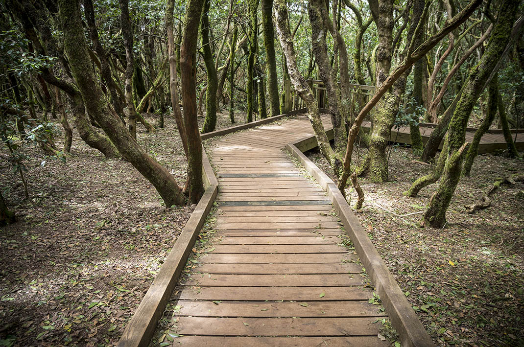 Sendero de los Sentidos 2