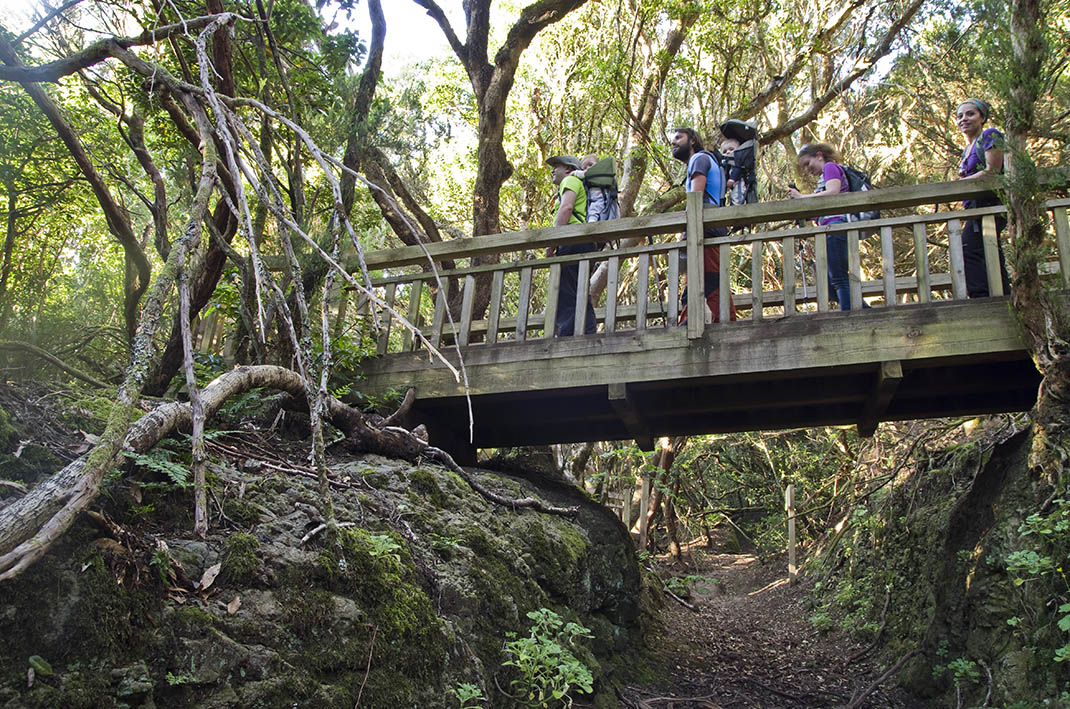 Sendero de los Sentidos 3