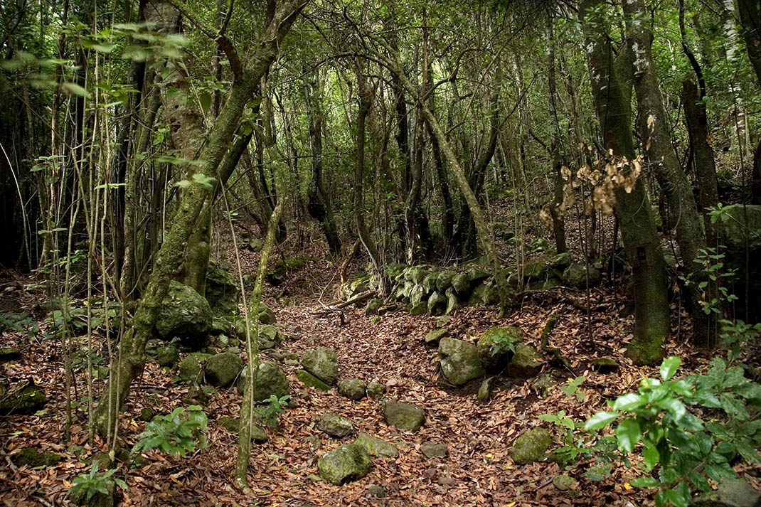 Accesible Monte del Agua