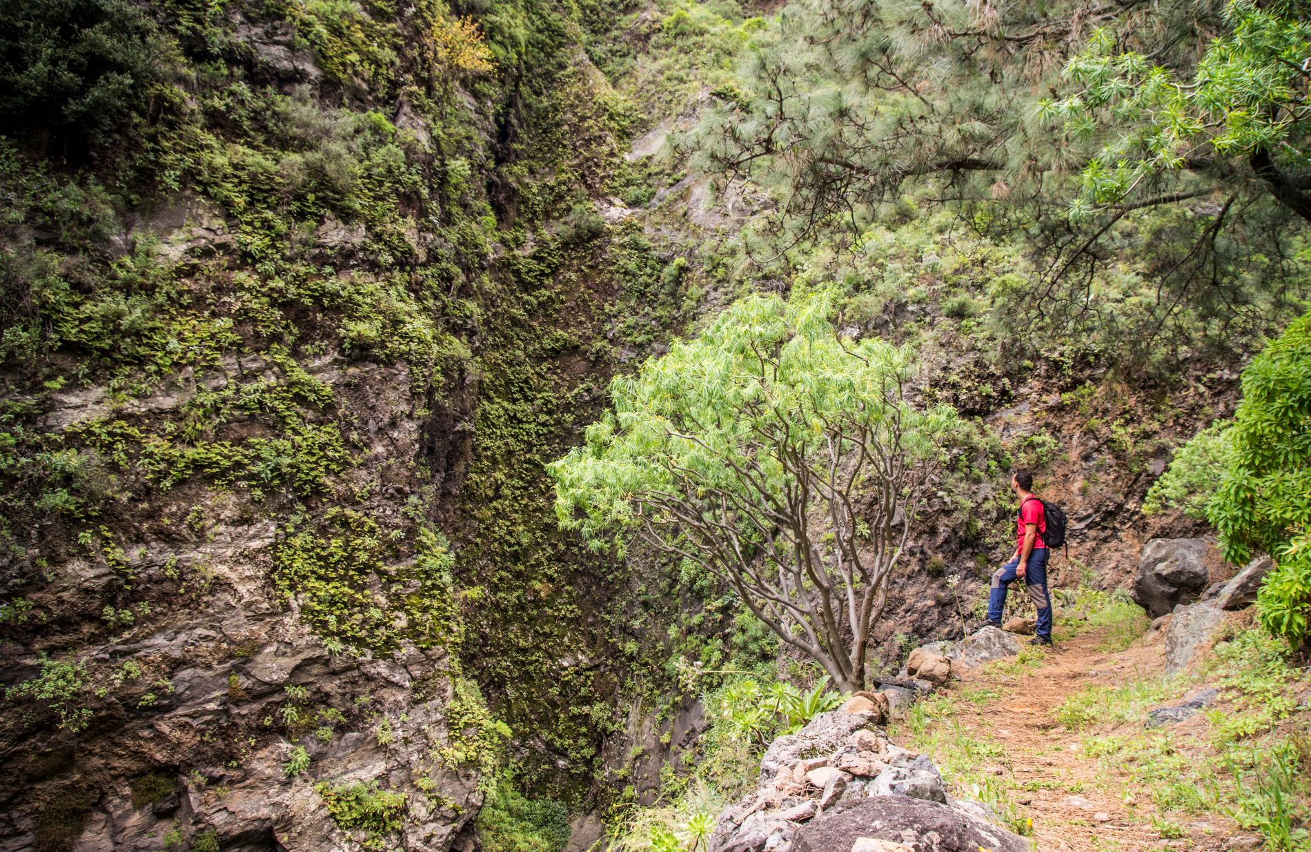 Barranco de Chacorche
