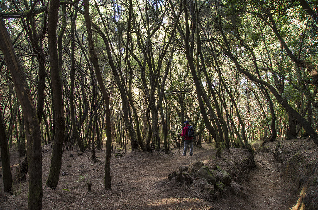 Camino de La Orilla del Monte