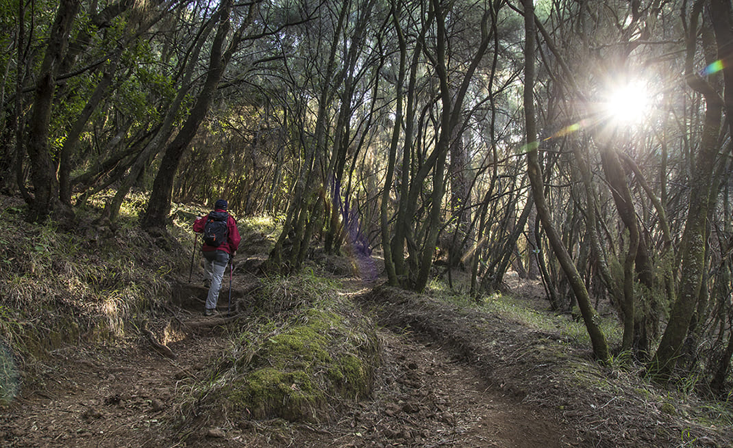 Camino de La Orilla del Monte