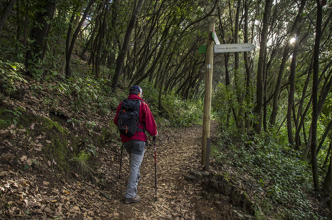 Camino de La Orilla del Monte