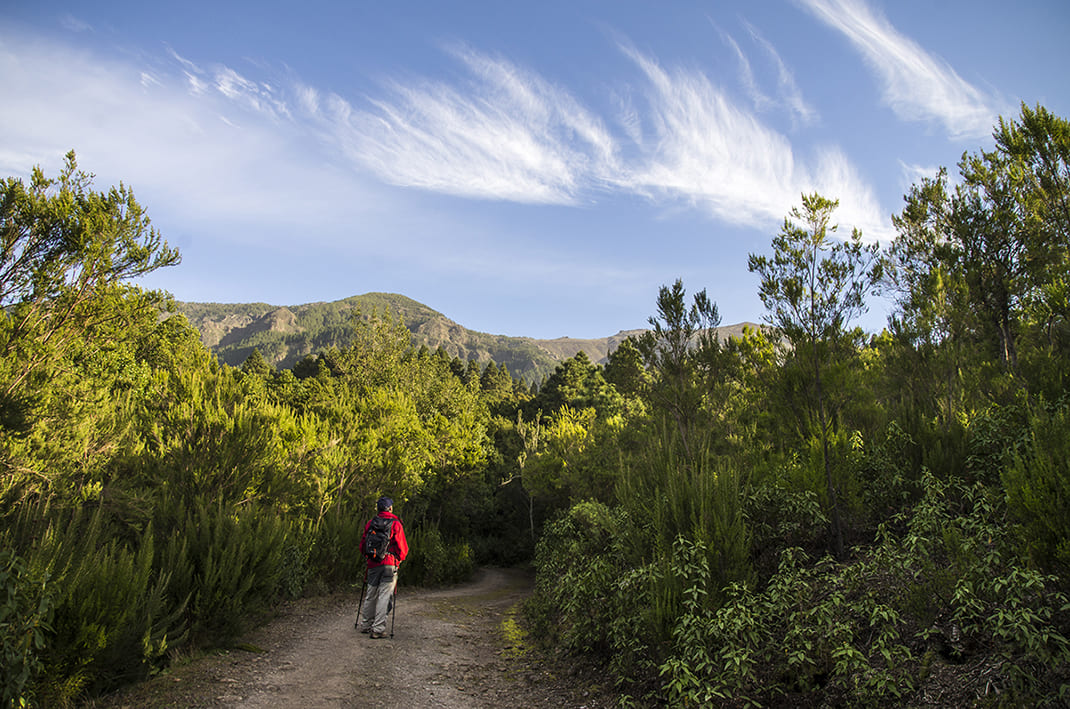 Camino de La Orilla del Monte