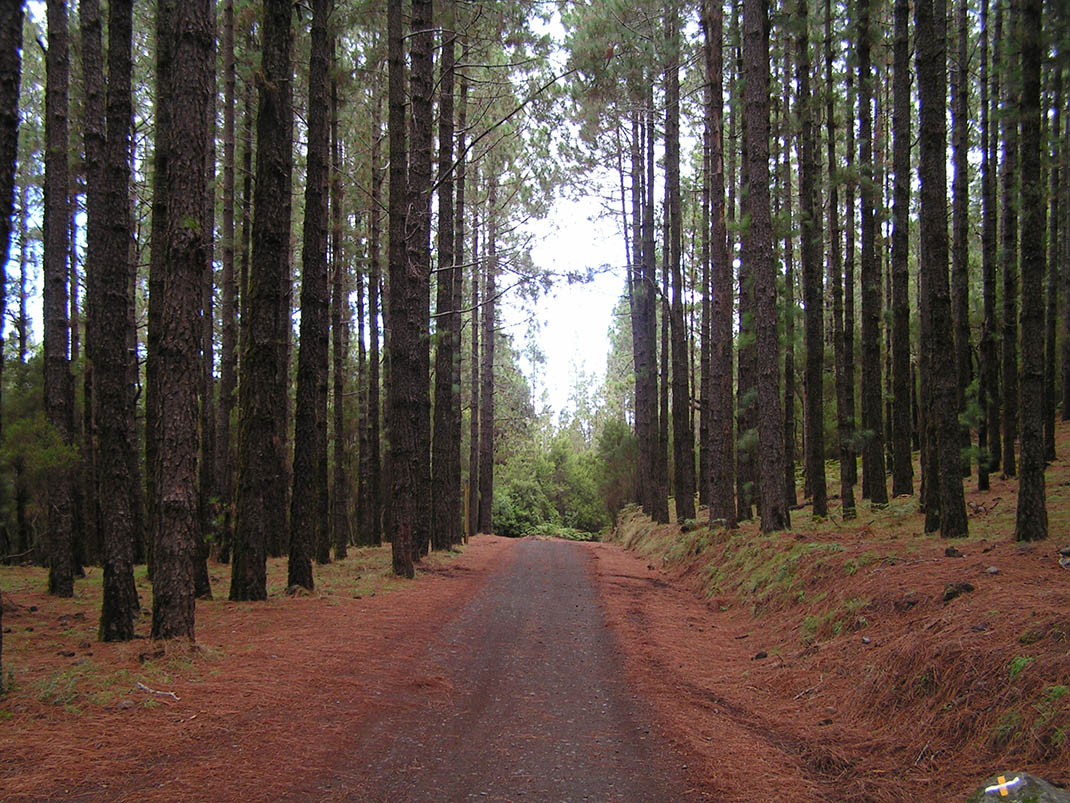 1.- Pista de Fuente Fría