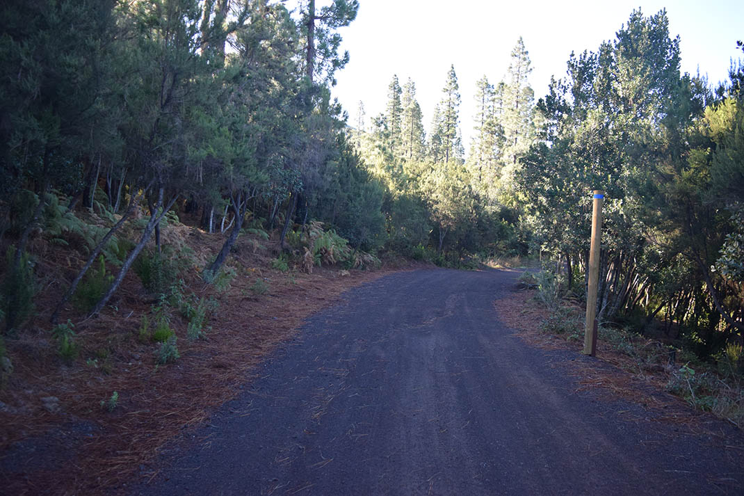 5.- Pista del Rayo - Pista de Fondo (2)