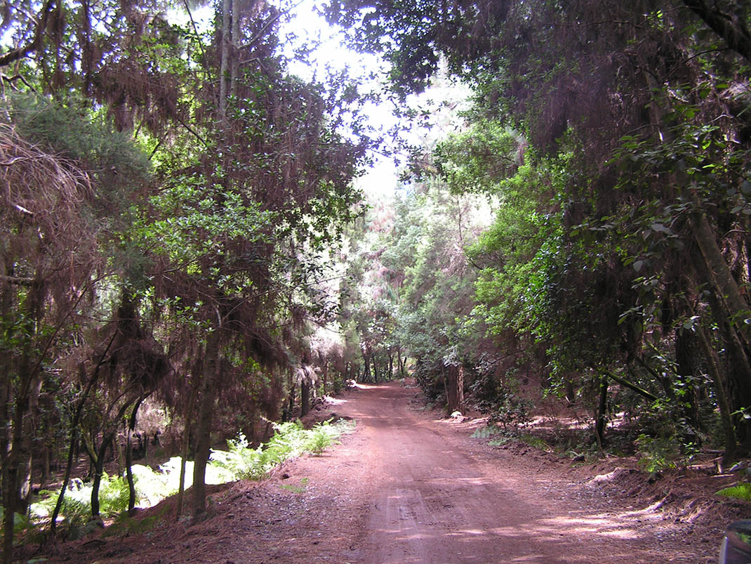 4.- Pista del Rayo-pista del Fondo (1)