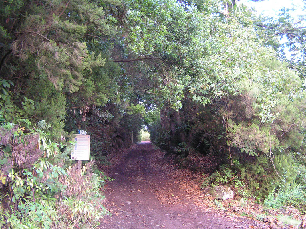 4.- Pista del Rayo-pista del Fondo (1)