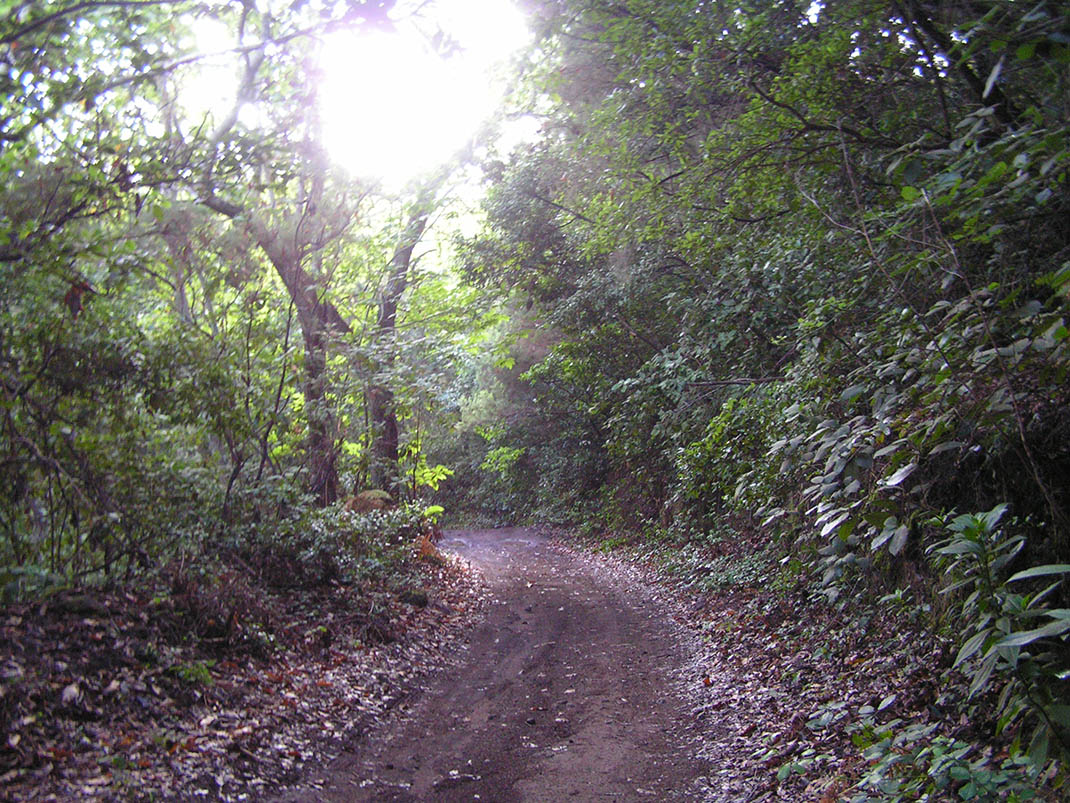 5.- Pista del Rayo - Pista de Fondo (2)