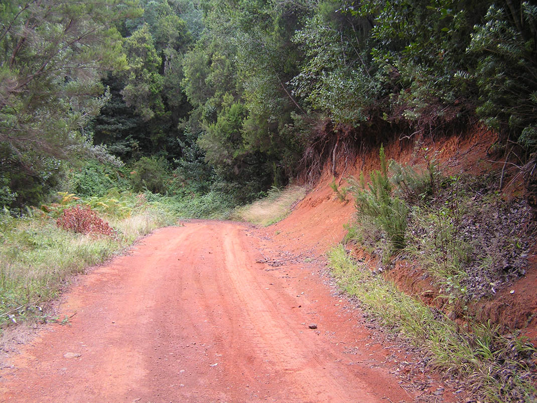 6.- Pista de la VICA, Las Aguilillas, Montaña El Pozo, Carril del Polvo