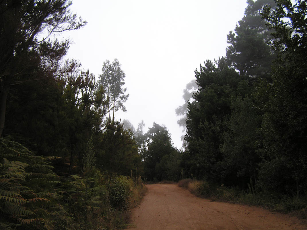 6.- Pista de la VICA, Las Aguilillas, Montaña El Pozo, Carril del Polvo