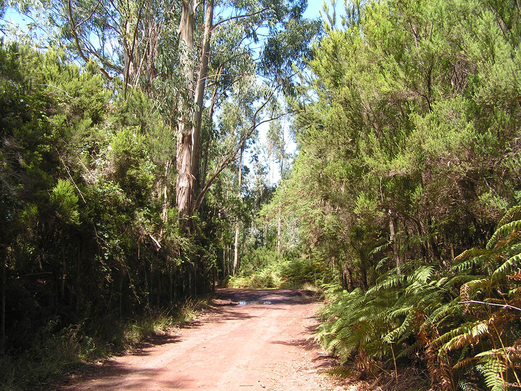 7.- Pista de Las Goteras