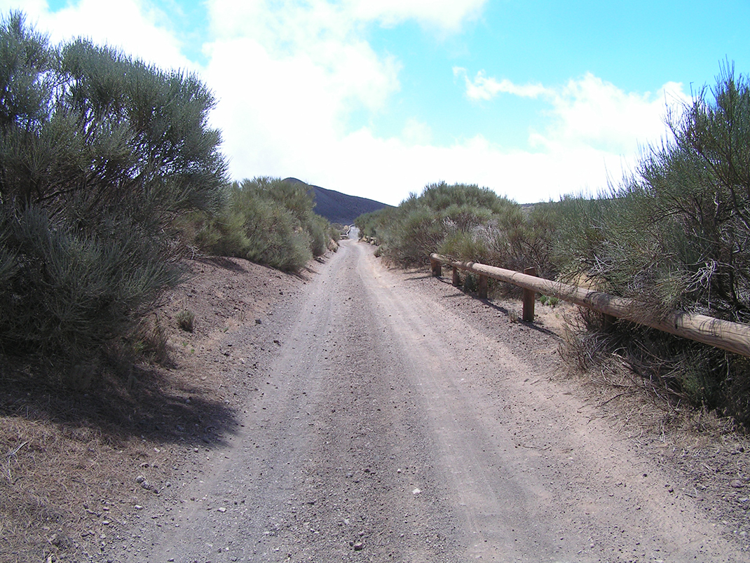 9-. Pista General de Arico