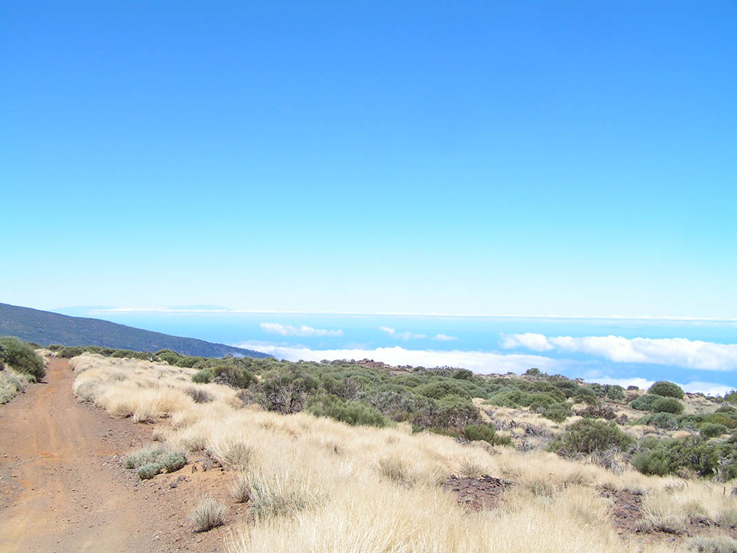 11.- Pista de Ramón Caminero a Izaña o Pista de Montaña del Limón