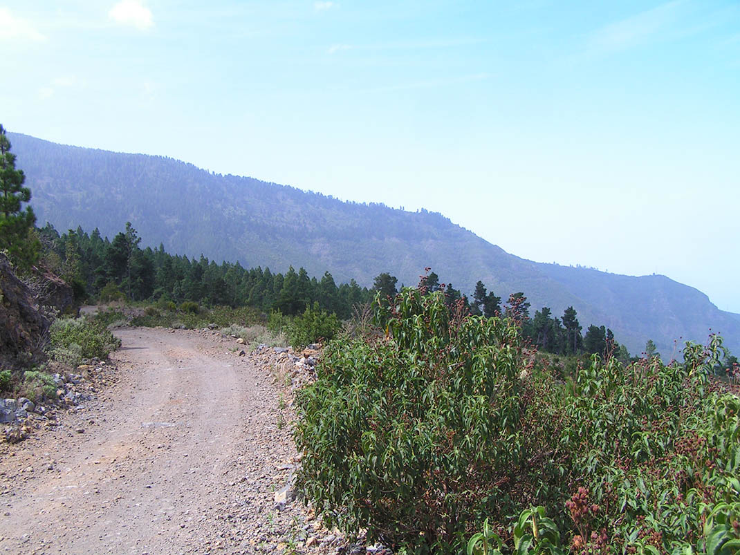 12.- Pista Chanajiga - Fuente Los Corchos