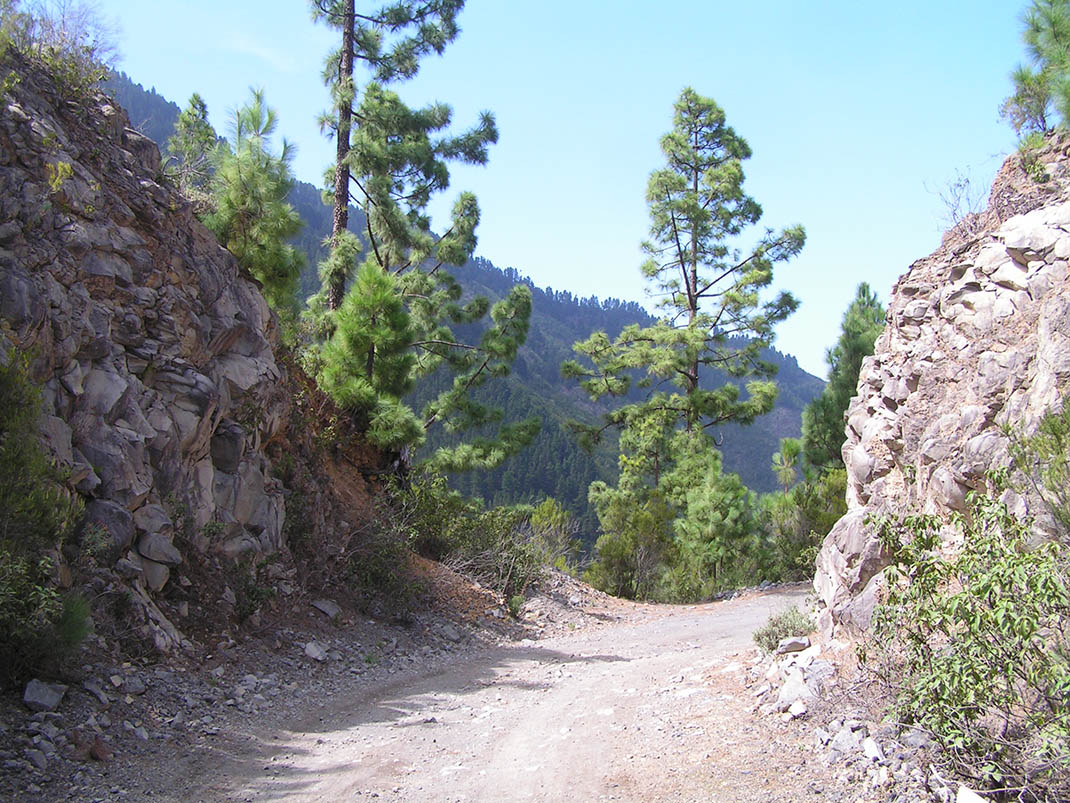 12.- Pista Chanajiga - Fuente Los Corchos