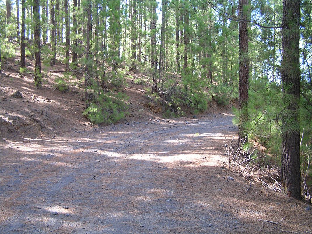 13.- Pista La Bermeja y Pista Almagre y Cabezón