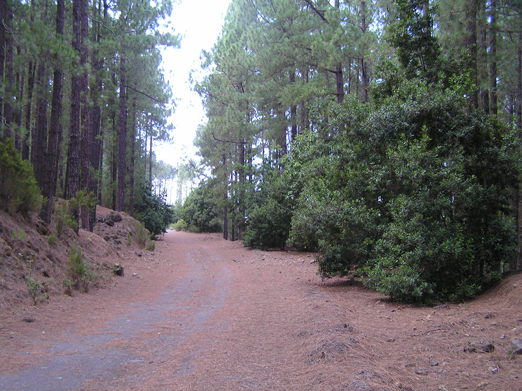 14.- Pista de Mataznos