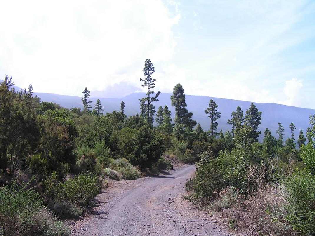 14.- Pista de Mataznos