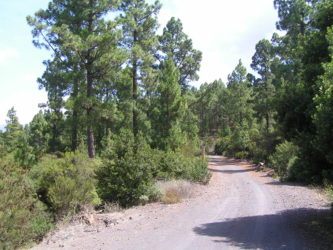 14.- Pista de Mataznos