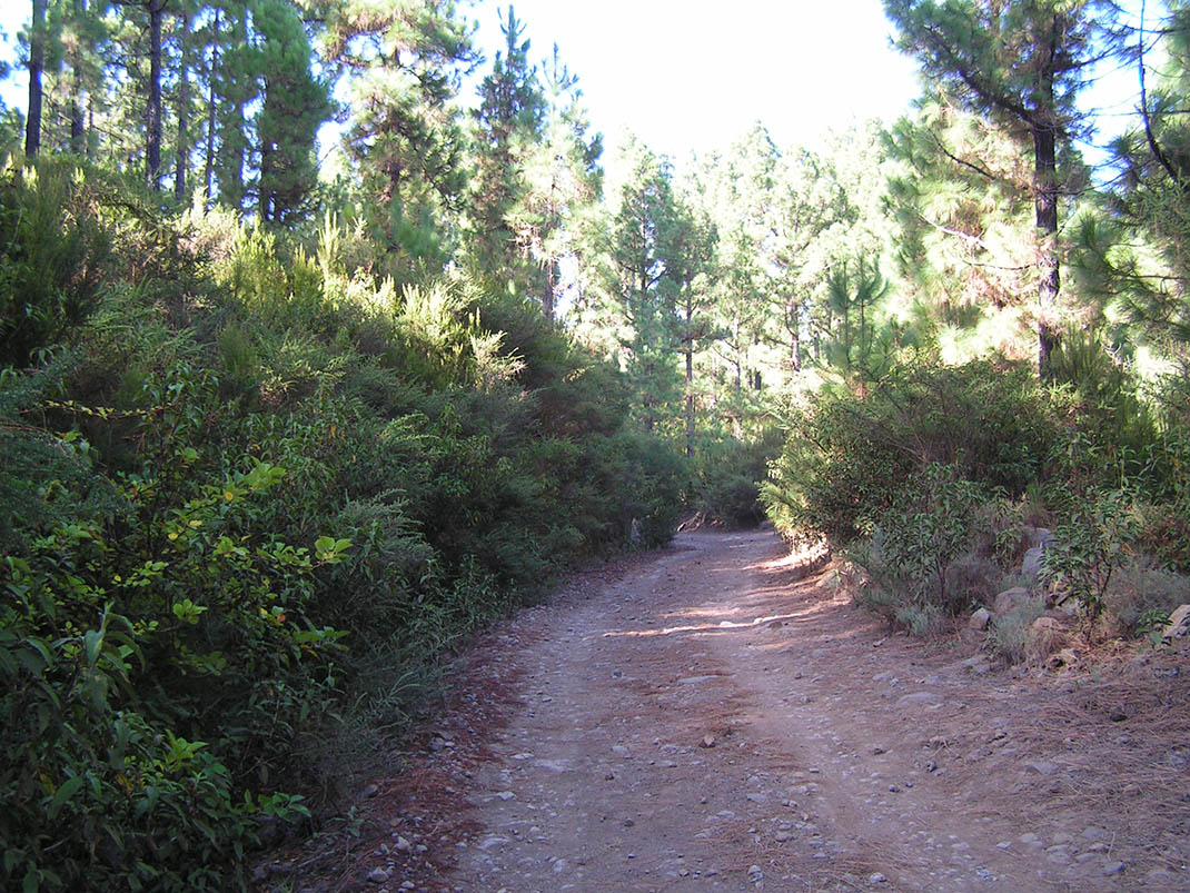 15.- Pista de Lolita y Caños Chingue