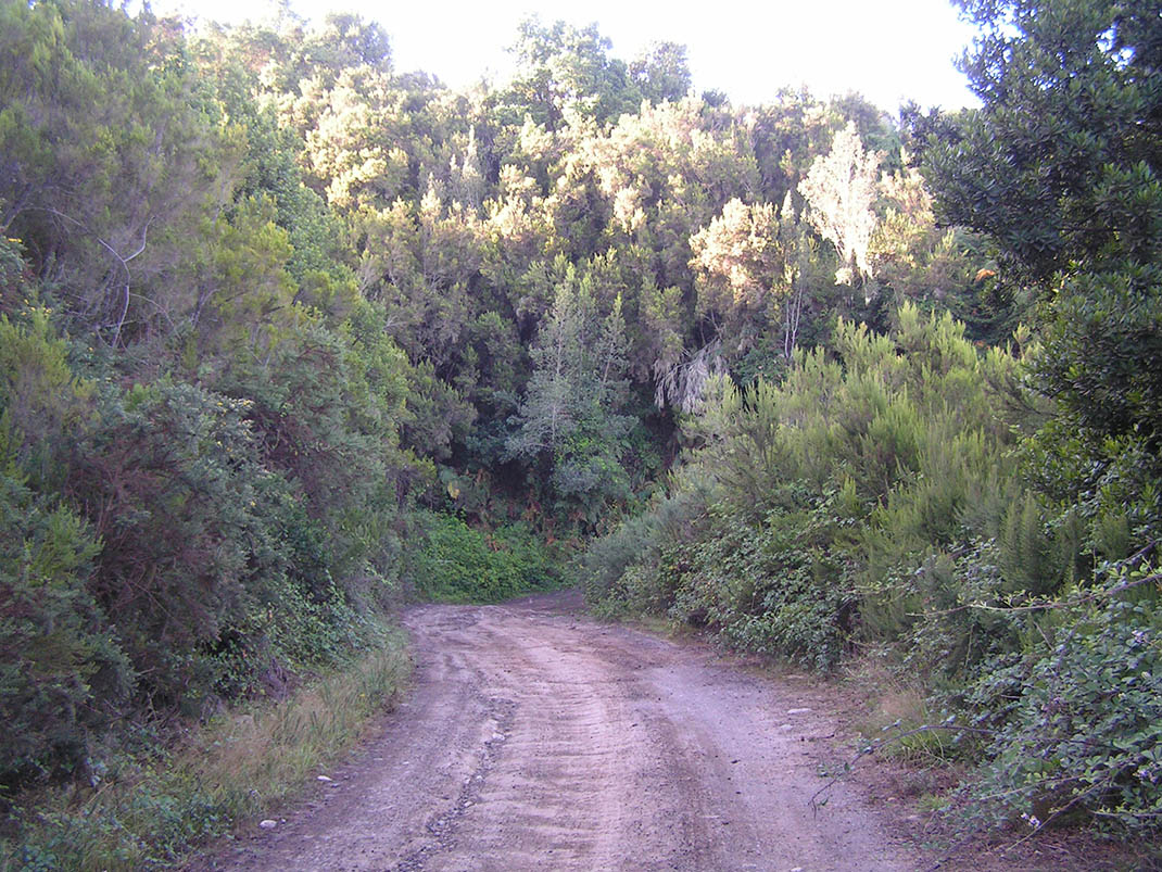 15.- Pista de Lolita y Caños Chingue