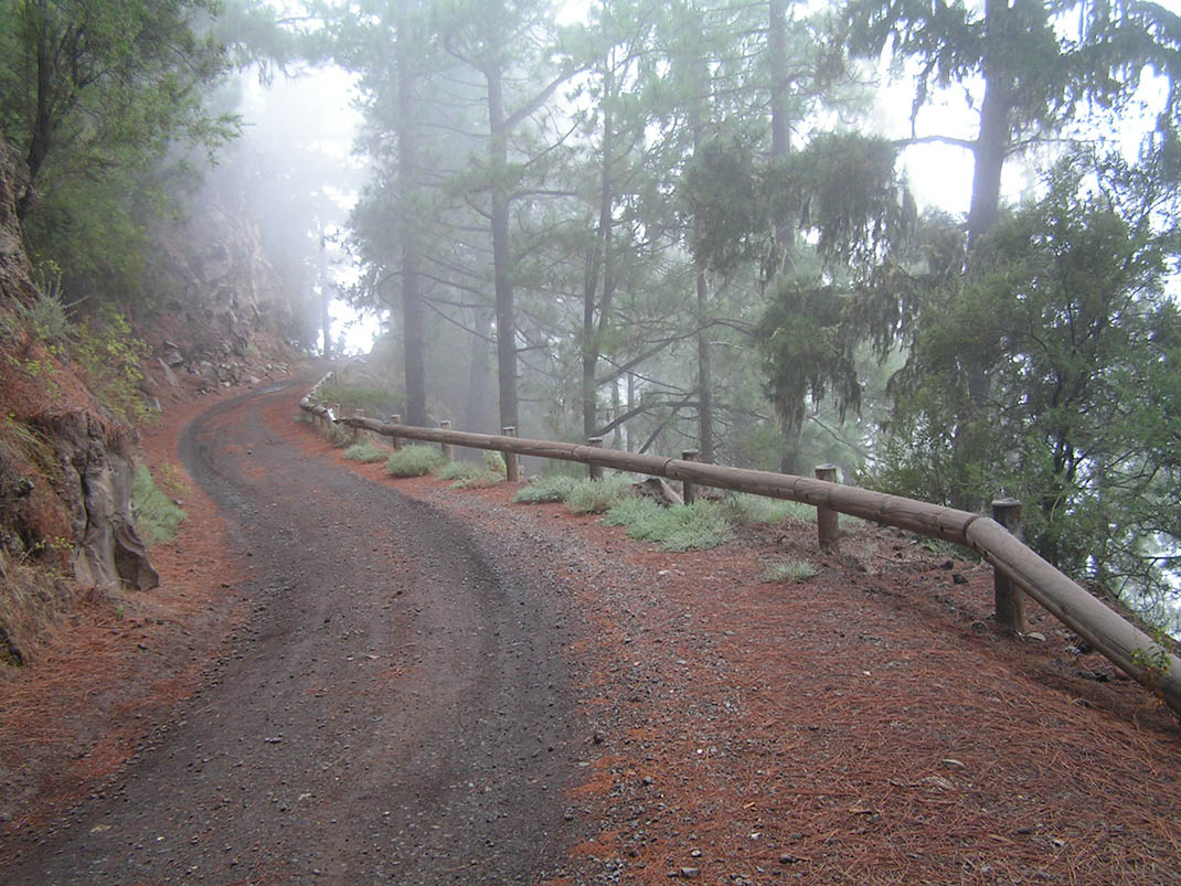 17.- Pista del P.K. 29, Pista de las Vistas de Sánchez, Pista Barranco de la Arena y Pista El Lagar