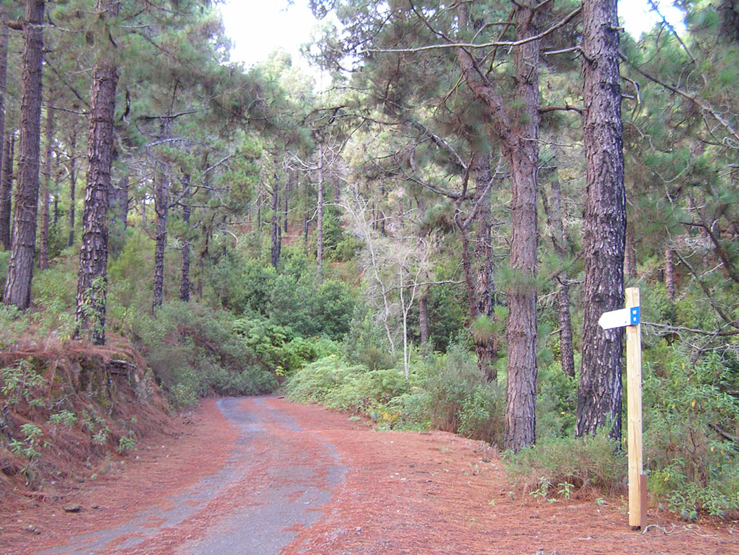 18.- Pista de Fuente Pedro