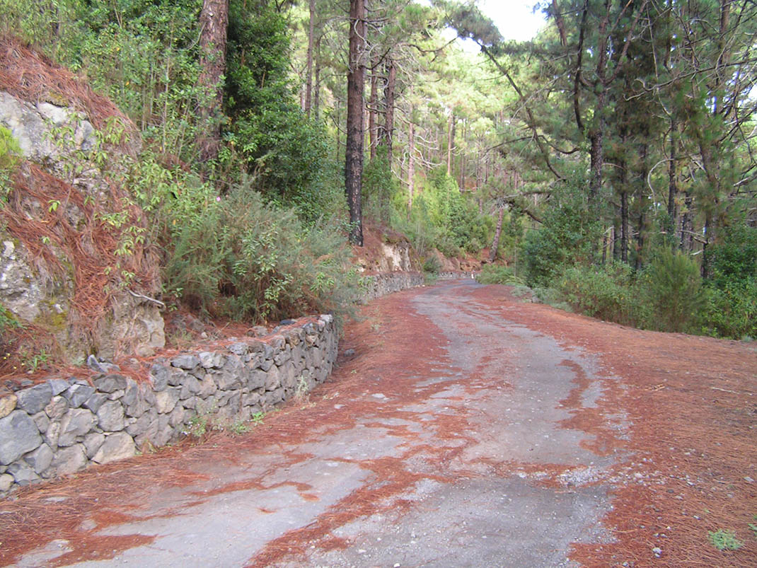 18.- Pista de Fuente Pedro