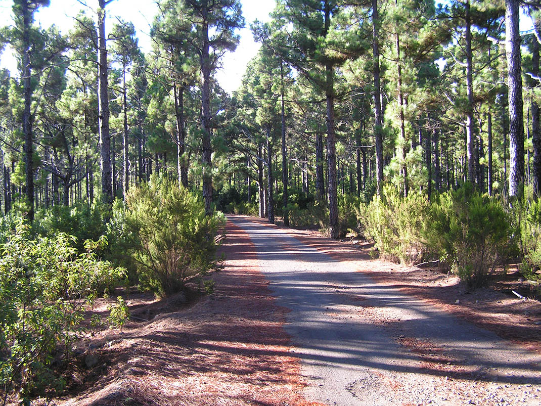 18.- Pista de Fuente Pedro