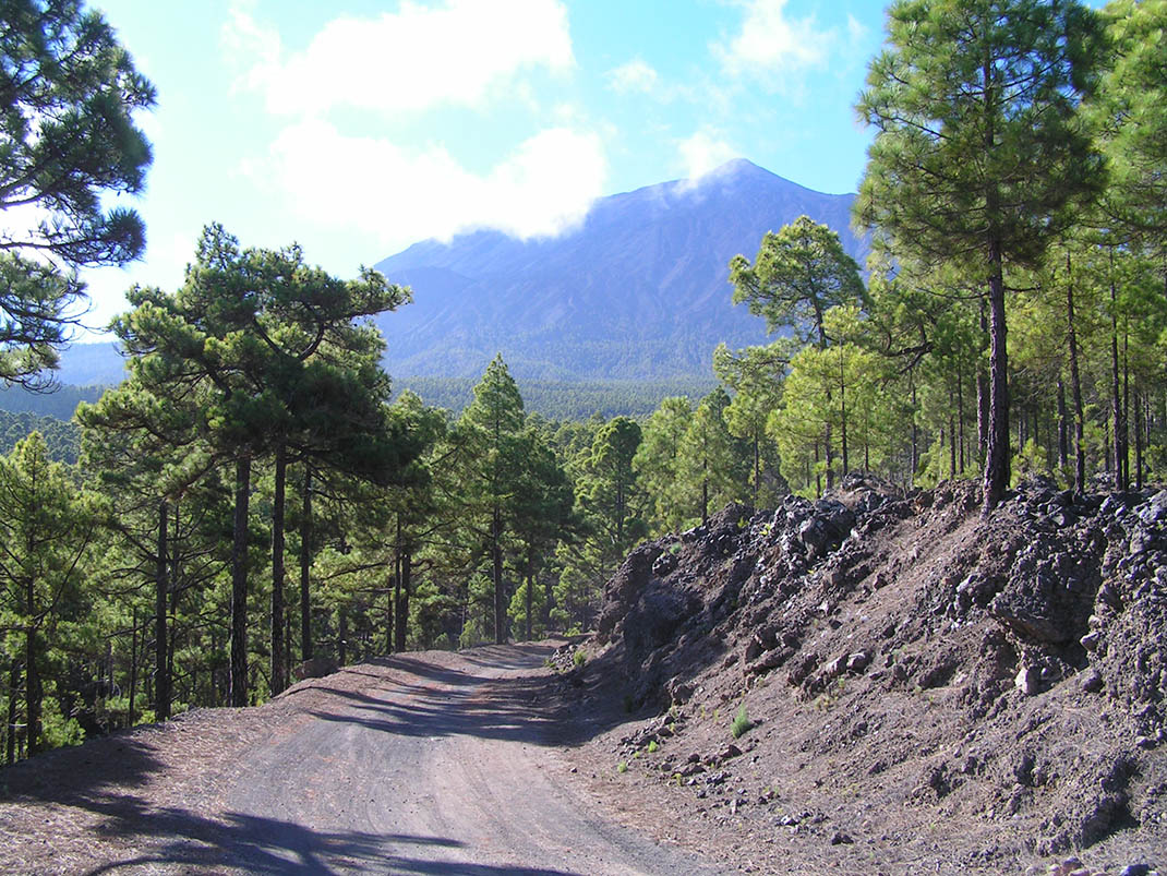 19.- Pista Fuente Santa