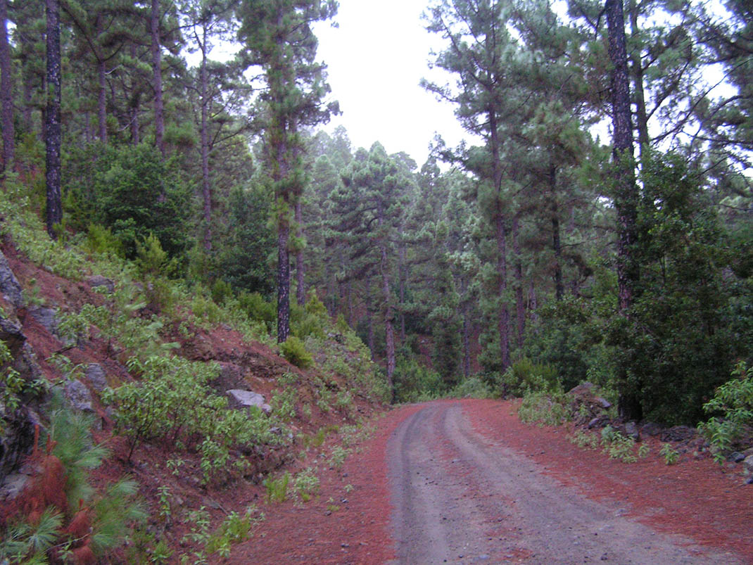 19.- Pista Fuente Santa