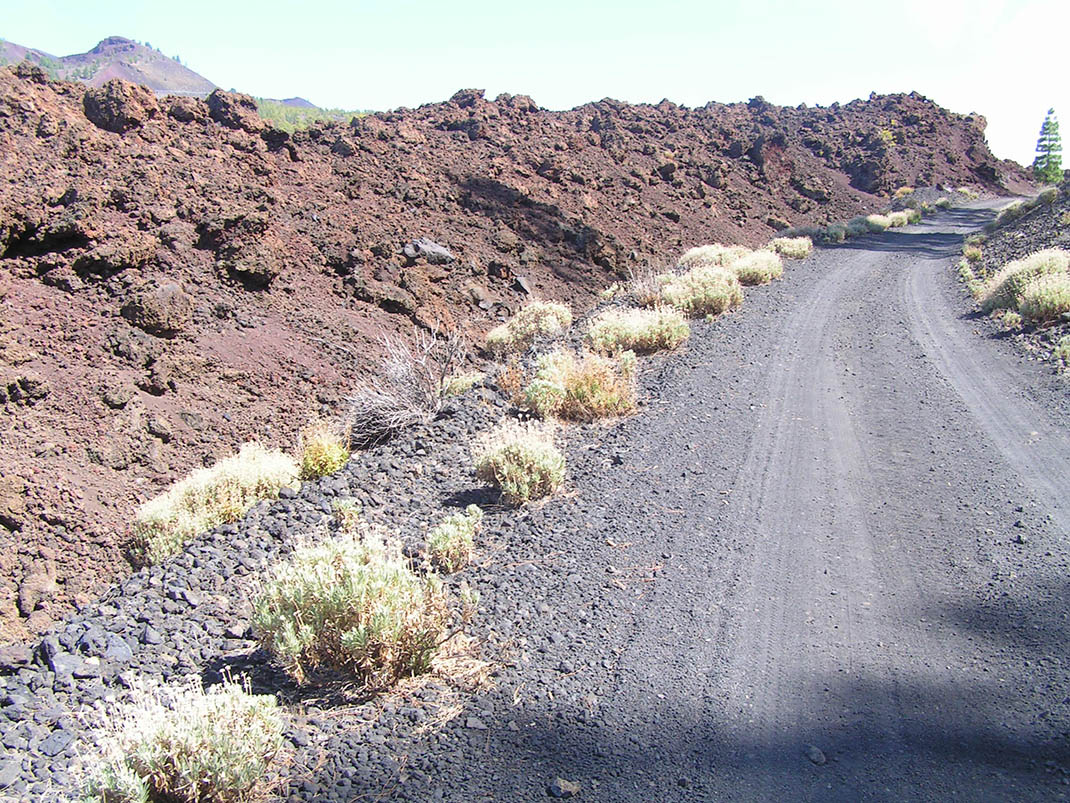 20.- Pista de Arenas Negras y Pista de Montaña Cascajo