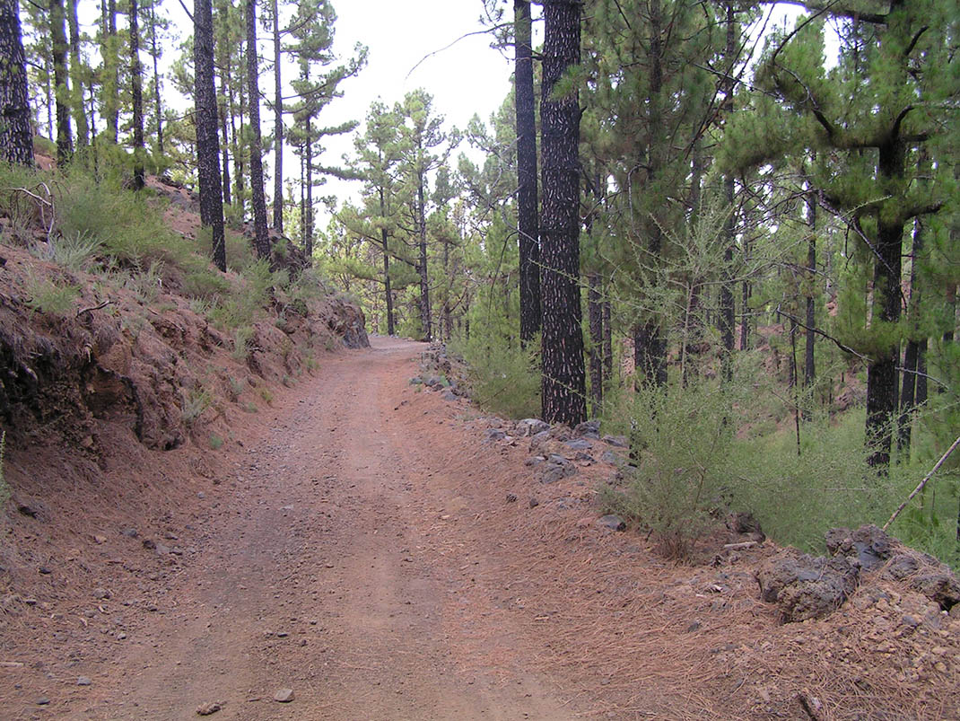 20.- Pista de Arenas Negras y Pista de Montaña Cascajo