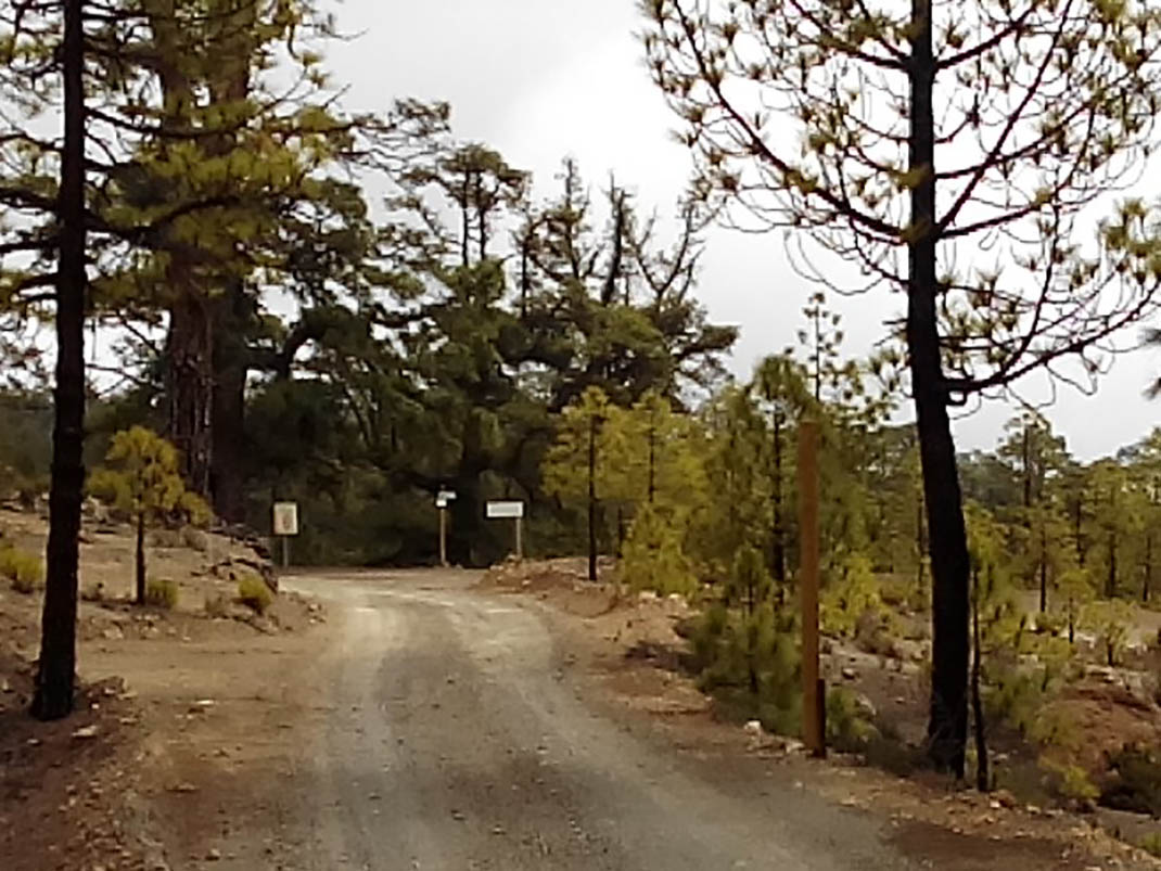 21.- Pista Madre del Agua