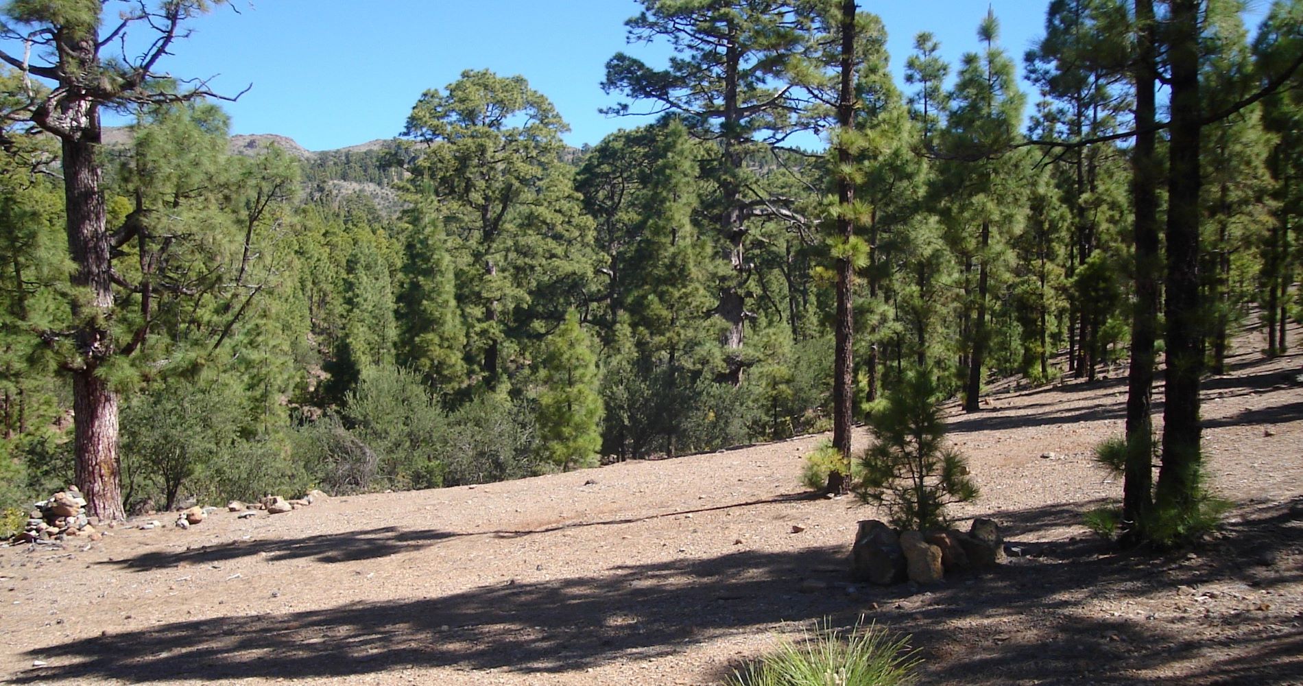 Fuente del Llano